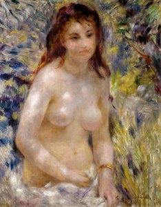 Studie. Torso, effect van zonlicht, ca. 1875-76